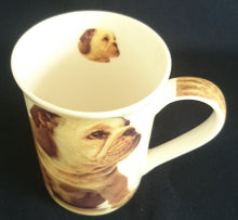 Lade das Bild in den Galerie-Viewer, KAFFEETASSE - Porzellan, Bulldogge Hunde Innen Motiv Dekor