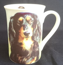 Lade das Bild in den Galerie-Viewer, KAFFEETASSE - Porzellan, Langhaardackel Hunde Innen Motiv Dekor