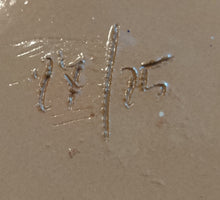 Lade das Bild in den Galerie-Viewer, WAND SAMMELTELLER - Keramik / Steingut, Blumenblüten Pflanzen Wiesen Motiv Dekor