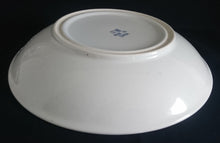 Lade das Bild in den Galerie-Viewer, RIESEN SCHALENTELLER - Porzellan, Blumen Blüten Pflanzen Ranken Flora Rand Motiv Dekor