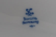 Lade das Bild in den Galerie-Viewer, BEILAGENPLATTE - Porzellan, Zwiebelmuster Motiv Relief Rand Dekor