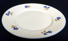 Lade das Bild in den Galerie-Viewer, DESSERTTELLER - Porzellan, Blaue Enzian Blumen Blüten Pflanzen Motiv Randdekor