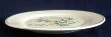 Lade das Bild in den Galerie-Viewer, DESSERTTELLER - Keramik / Steingut, Blumenblüten Pflanzen Flora Randlinie Motiv Dekor