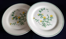 Lade das Bild in den Galerie-Viewer, DESSERTTELLER - Keramik / Steingut, Blumenblüten Pflanzen Flora Randlinie Motiv Dekor