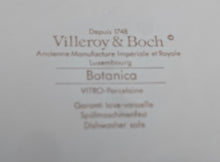 Lade das Bild in den Galerie-Viewer, 2er Set SPEISETELLER "Botanica" - Porzellan, Goldrand / Anthemis lindoria Pflanzen mit Wurzel Dekor