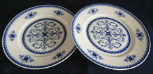 Lade das Bild in den Galerie-Viewer, SPEISETELLER "Scharffeuer" - Porzellan, Kobalt Abstrakt Indischblau Strohblume Motiv Relieflinien Dekor