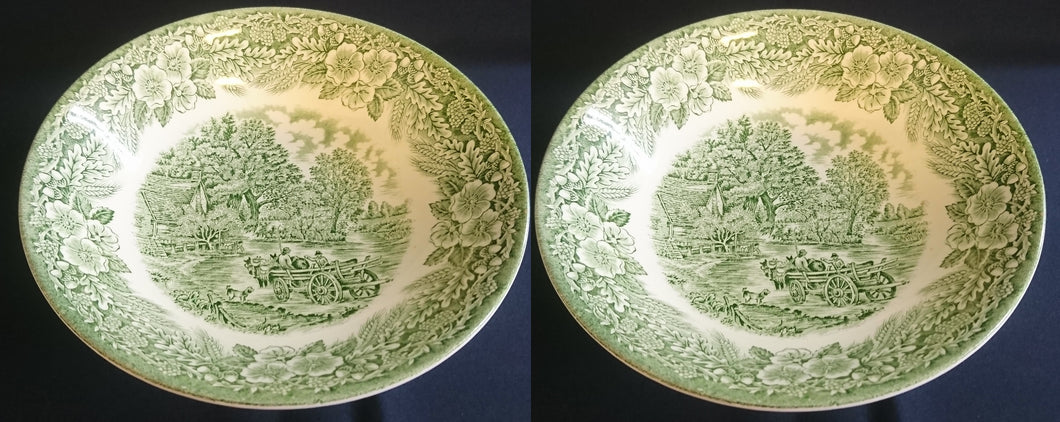 2er Set BEILAGEN~ SERVIERSCHÜSSELN - Keramik / Steingut, Flora Blüten Pflanzen Bauernhof Kutschenwagen Natur Motiv Dekor