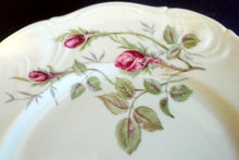 Lade das Bild in den Galerie-Viewer, DESSERTTELLER &quot;Rose Mousse&quot; - Porzellan, Flora Rosenblumen Bouquet Pflanzen Relief Goldrand Motiv Dekor

