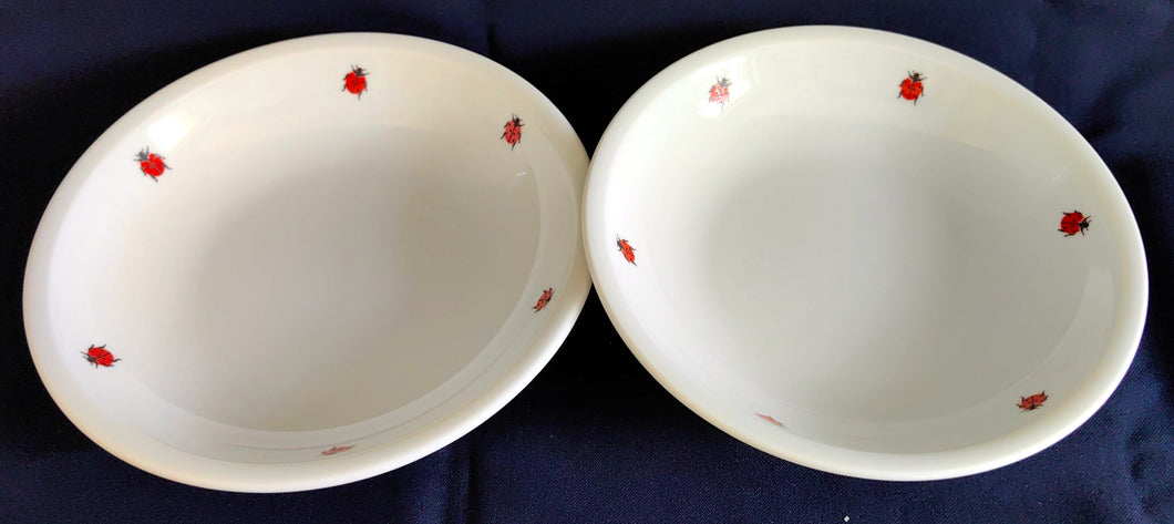 2er Set SALAT~ BEILAGENSCHALE 