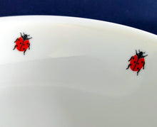 Lade das Bild in den Galerie-Viewer, 2er Set SALAT~ BEILAGENSCHALE &quot;Käfer&quot; - Porzellan, Fauna Käfer Insekten Motiv Dekor
