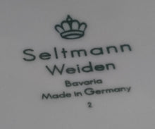 Lade das Bild in den Galerie-Viewer, 2er Set SPEISETELLER - Porzellan, Grauer Breiter Rand Motiv Dekor
