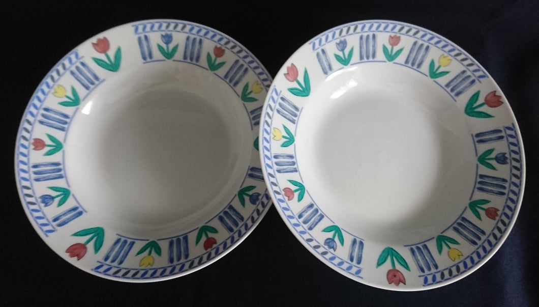 2er Set SUPPENTELLER - Porzellan, Abstrakt Striche Linien Flora Blumen Blüten Pflanzen Motiv Dekor