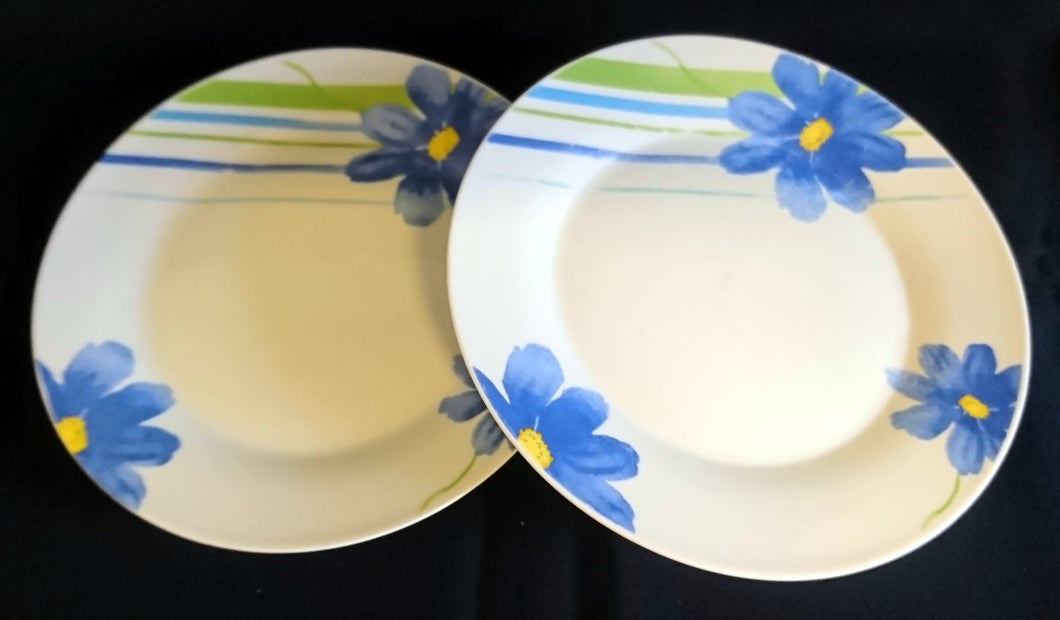 2er Set SPEISETELLER - Porzellan, Flora Pflanzen Blumenblüten Striche Linien Motiv Dekor (BC)