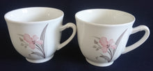 Lade das Bild in den Galerie-Viewer, TEETASSE - Porzellan, Flora Blumenblüten Pflanzen Blatt Blätter Motiv Dekor (BC)
