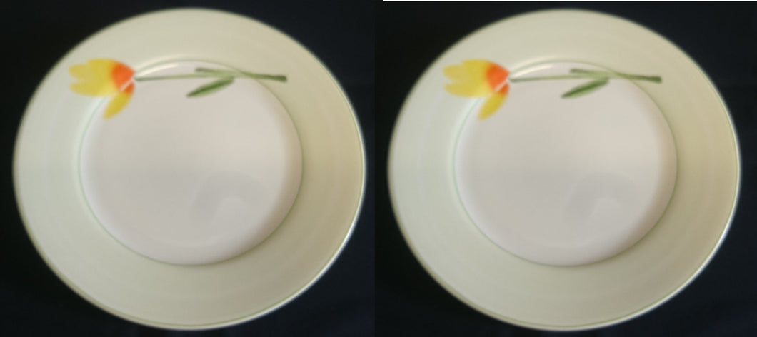 2er Set SPEISETELLER - Porzellan, Blumen / Hellgrüner Dekorrand