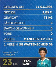 Lade das Bild in den Galerie-Viewer, Glitzer STICKER FIFA WELTMEISTERSCHAFT 2018 in RUSSIA (Russland)- Verschiedene Sticker / Karten (GnoE)
