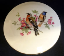Lade das Bild in den Galerie-Viewer, SCHMUCKDOSE MIT DECKEL - Porzellan, Goldrand Flora Fauna Kanarienvögel Vogel Blumen Pflanzen Blüten Motiv Dekor Linien Balken Senkrecht Relief Dekor
