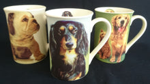 Lade das Bild in den Galerie-Viewer, KAFFEETASSE - Porzellan, Bulldogge Hunde Innen Motiv Dekor
