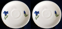 Lade das Bild in den Galerie-Viewer, UNTERTASSE - Porzellan, Enzian Blumenblüten Goldrand Dekor
