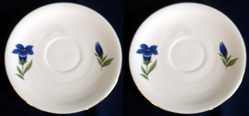 2er Set UNTERTASSEN - Porzellan, Enzian Blumenblüten Goldrand Dekor
