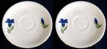 Lade das Bild in den Galerie-Viewer, 2er Set 2er TEEGEDECKE - Porzellan, Enzian Blumenblüten Goldrand Dekor

