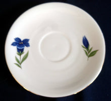 Lade das Bild in den Galerie-Viewer, 2er Set UNTERTASSEN - Porzellan, Enzian Blumenblüten Goldrand Dekor
