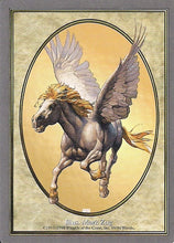 Lade das Bild in den Galerie-Viewer, PEGASUS, Magic -The Gathering-, Ausgabe / Set / Sonderkarten 1993-1998
