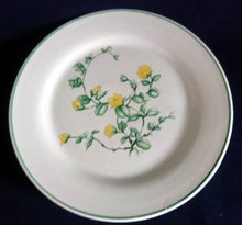 Lade das Bild in den Galerie-Viewer, 15 Teiliges KAFFEESERVICE - Keramik / Steingut, Blumenblüten Pflanzen Flora Randlinie Motiv Dekor
