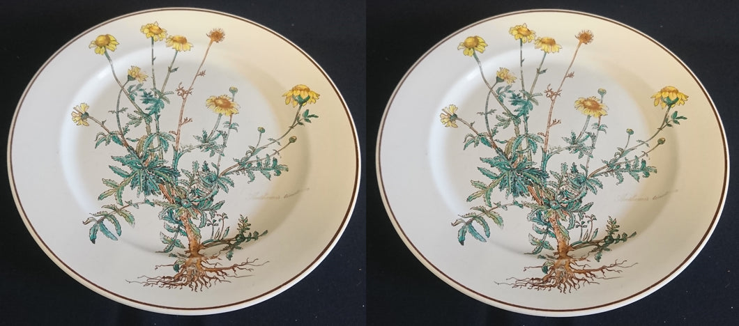 2er Set  SPEISETELLER 